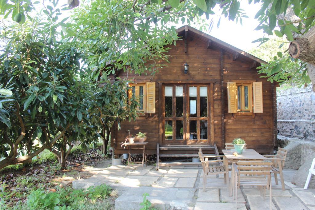 Camping Tropical Almunecar Bilik gambar